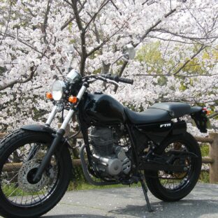 冬眠明けのバイクトラブルを回避！点検時のチェックリスト